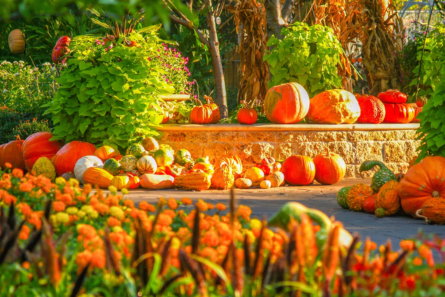 Top Things to Do in October in Dallas | Fall 2024 Events & Attractions ...