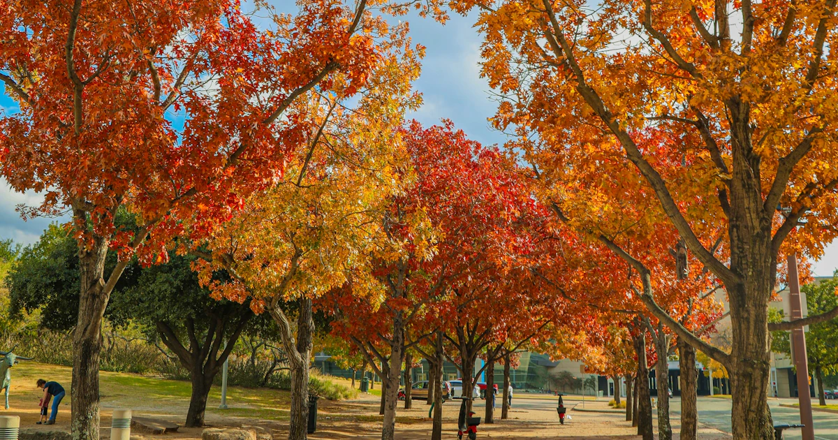 Dallas In The Fall | Visit Dallas