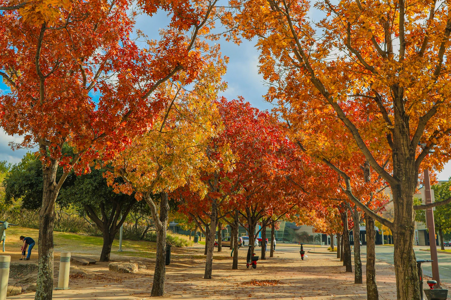 Top Things to Do in October in Dallas | Fall 2024 Events & Attractions ...