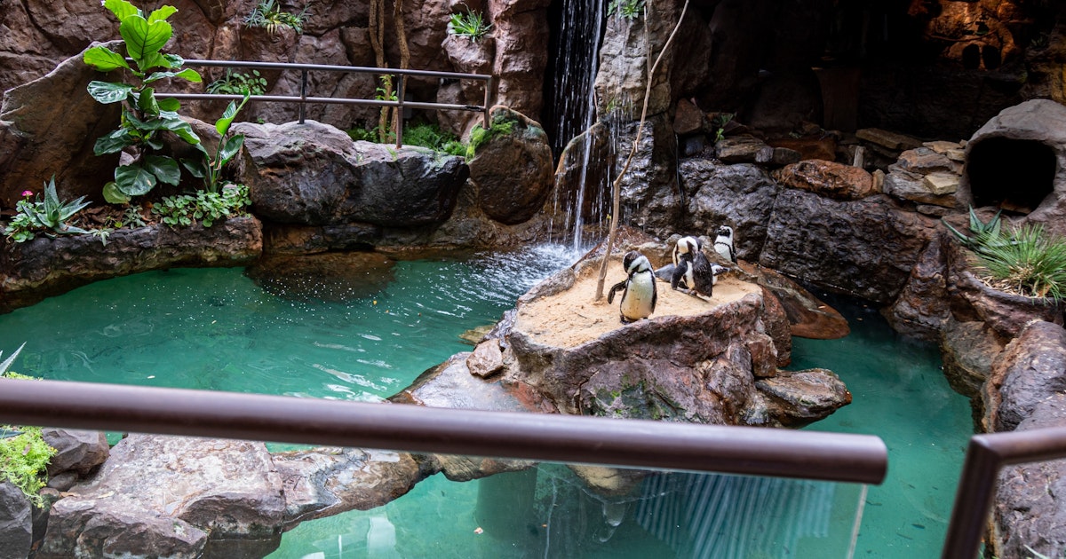 Epic Indoor Things To Do In Dallas With Kids Visit Dallas epic-indoor-things-to-do-in-dallas-with-kids-visit-dallas